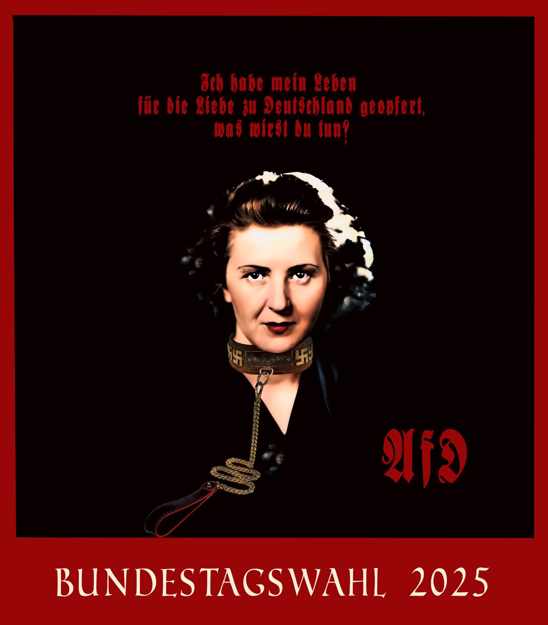 AFD  11
